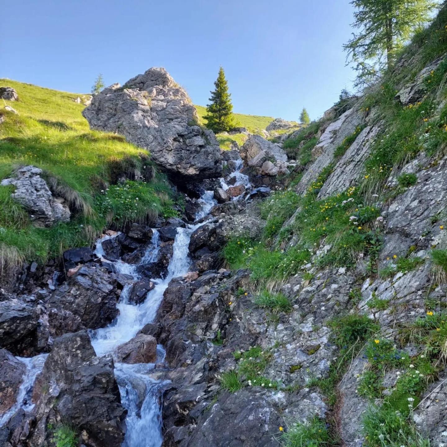 LA POESIA DOLOMITI APARTMENTS