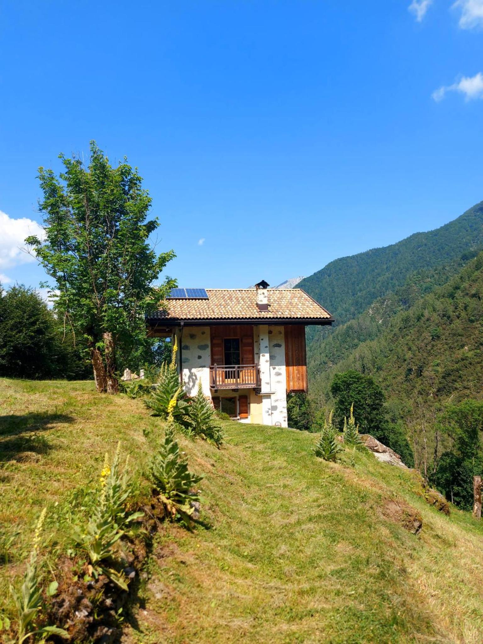 LA POESIA DOLOMITI APARTMENTS