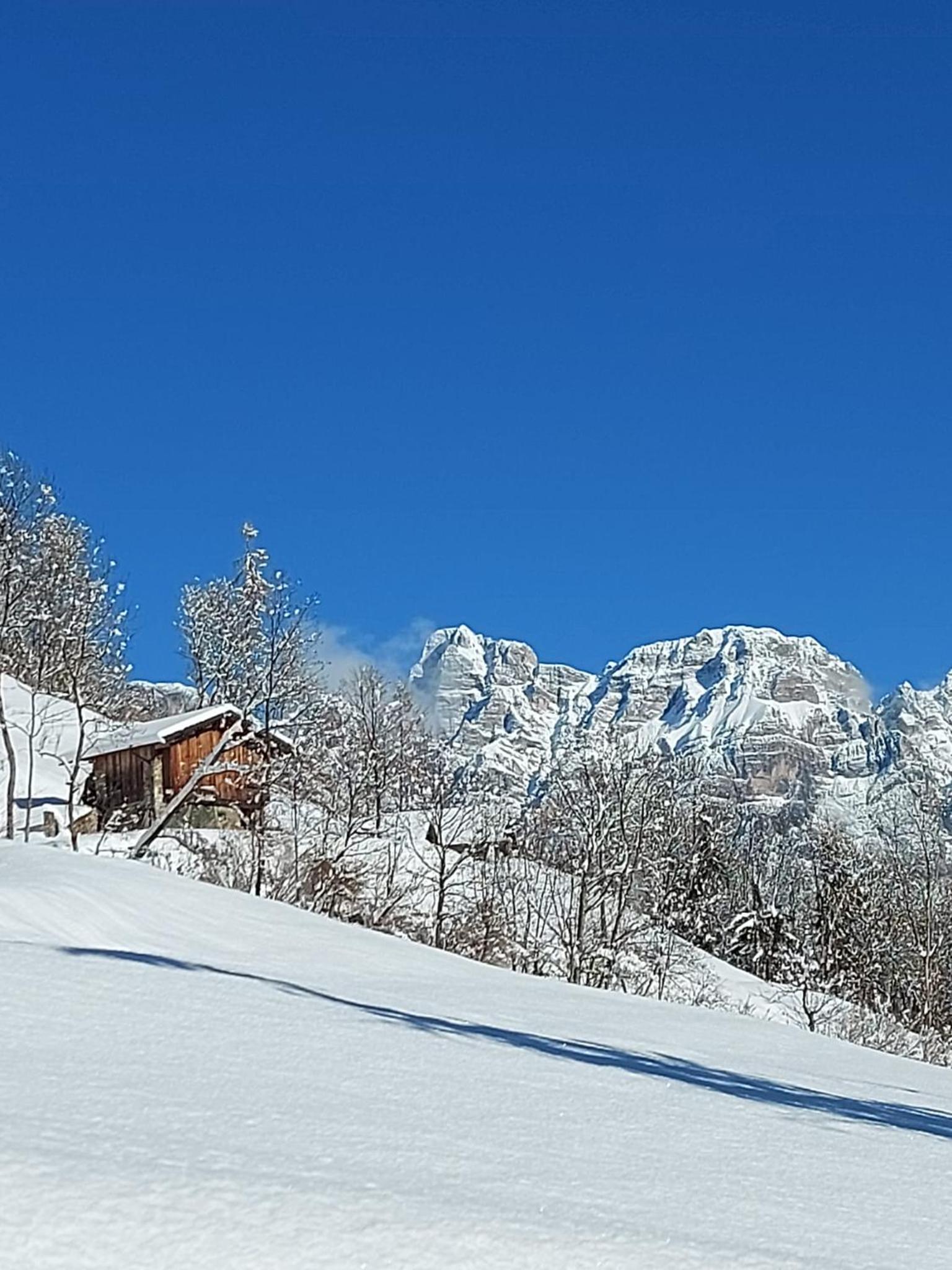 LA POESIA DOLOMITI APARTMENTS