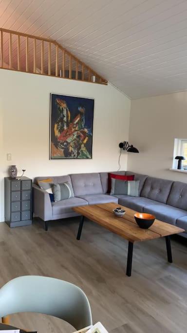Moderne sommerhus i naturskønne omgivelser