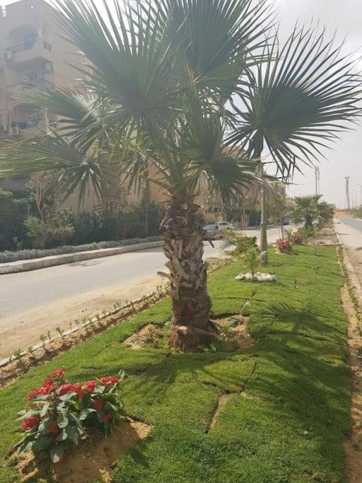 Apartment with Garden and Parking