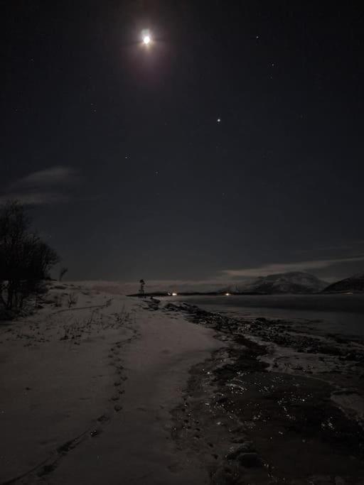 Drømmehytta på Senja
