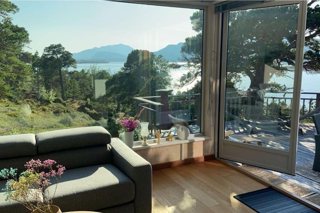 Drømmehytta på Senja