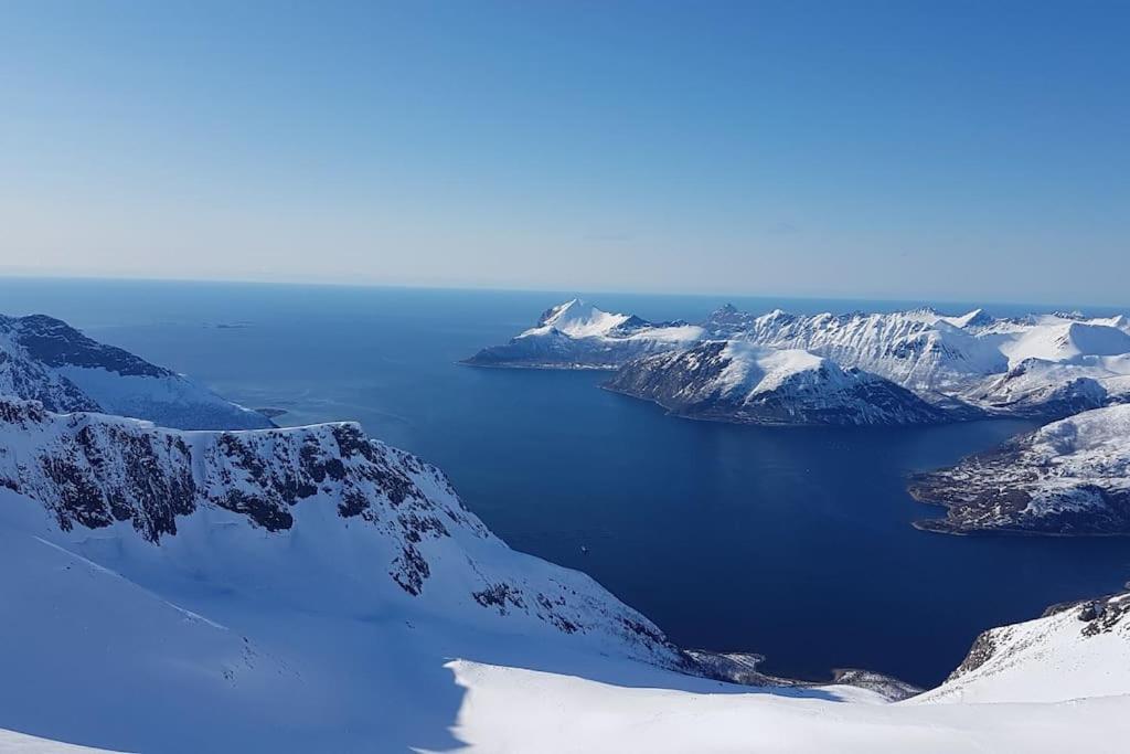 Drømmehytta på Senja