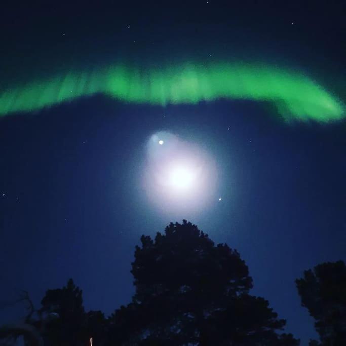 Drømmehytta på Senja