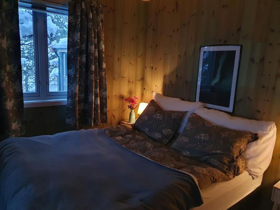 Drømmehytta på Senja