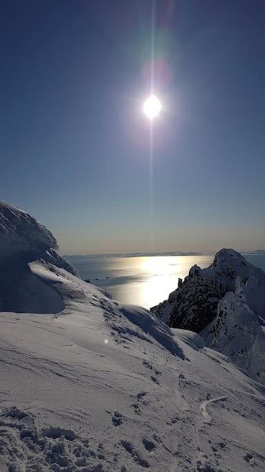 Drømmehytta på Senja