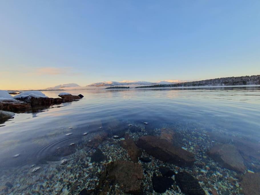 Drømmehytta på Senja