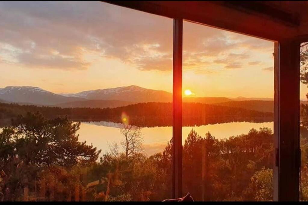 Drømmehytta på Senja