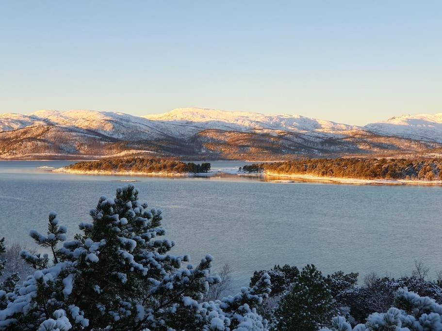 Drømmehytta på Senja