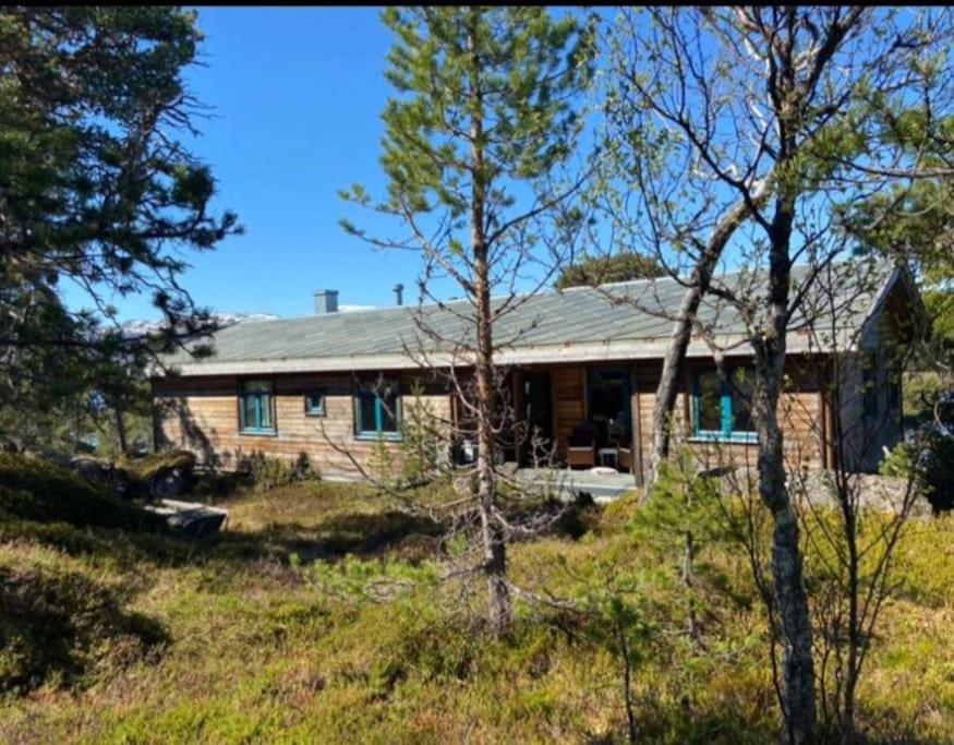 Drømmehytta på Senja