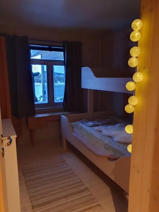 Drømmehytta på Senja