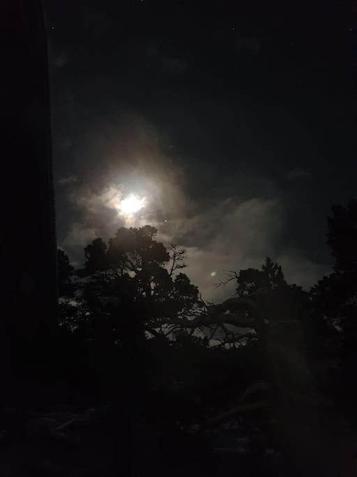 Drømmehytta på Senja