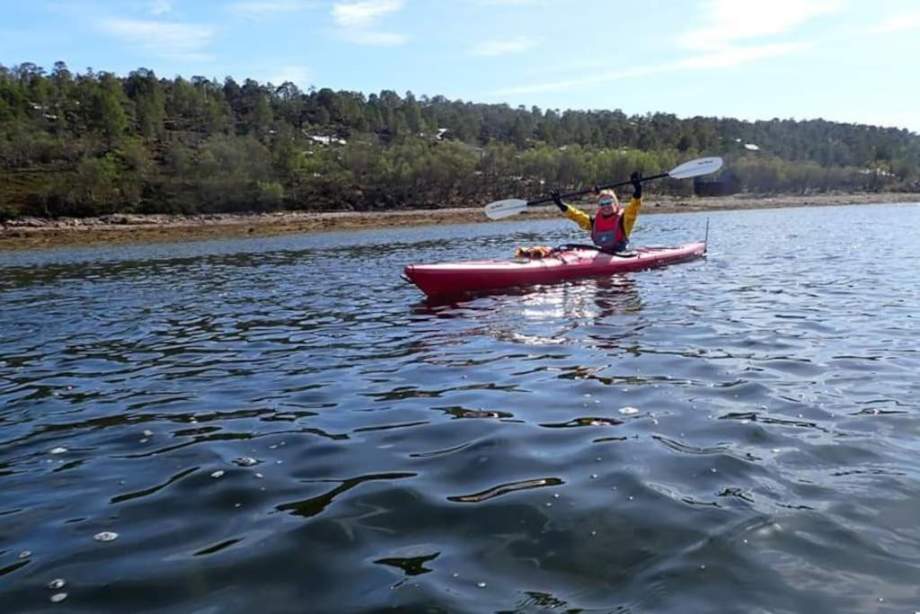 Drømmehytta på Senja