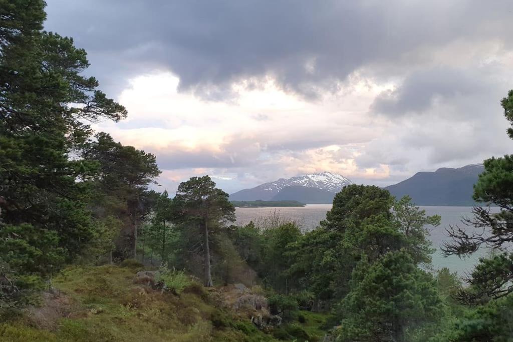 Drømmehytta på Senja