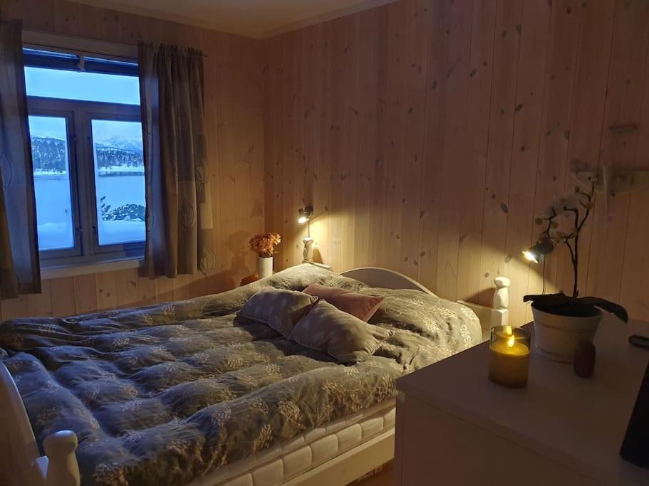 Drømmehytta på Senja