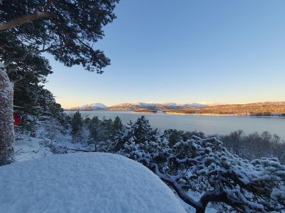 Drømmehytta på Senja