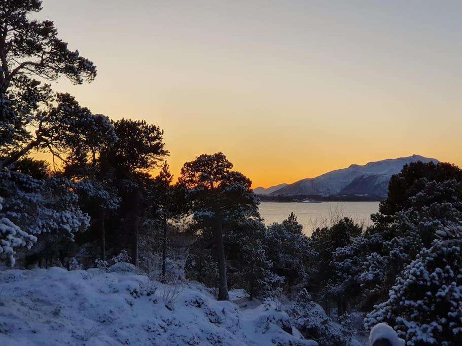 Drømmehytta på Senja