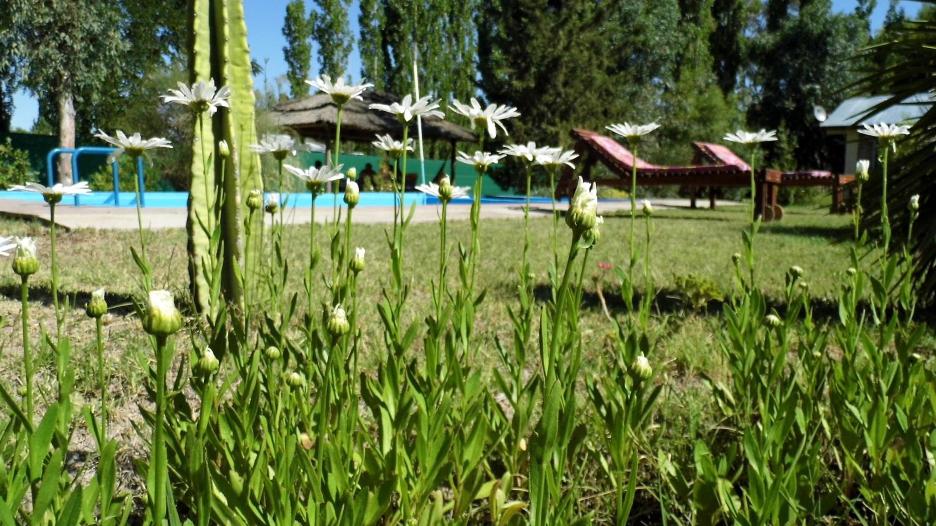 Cabañas Aike