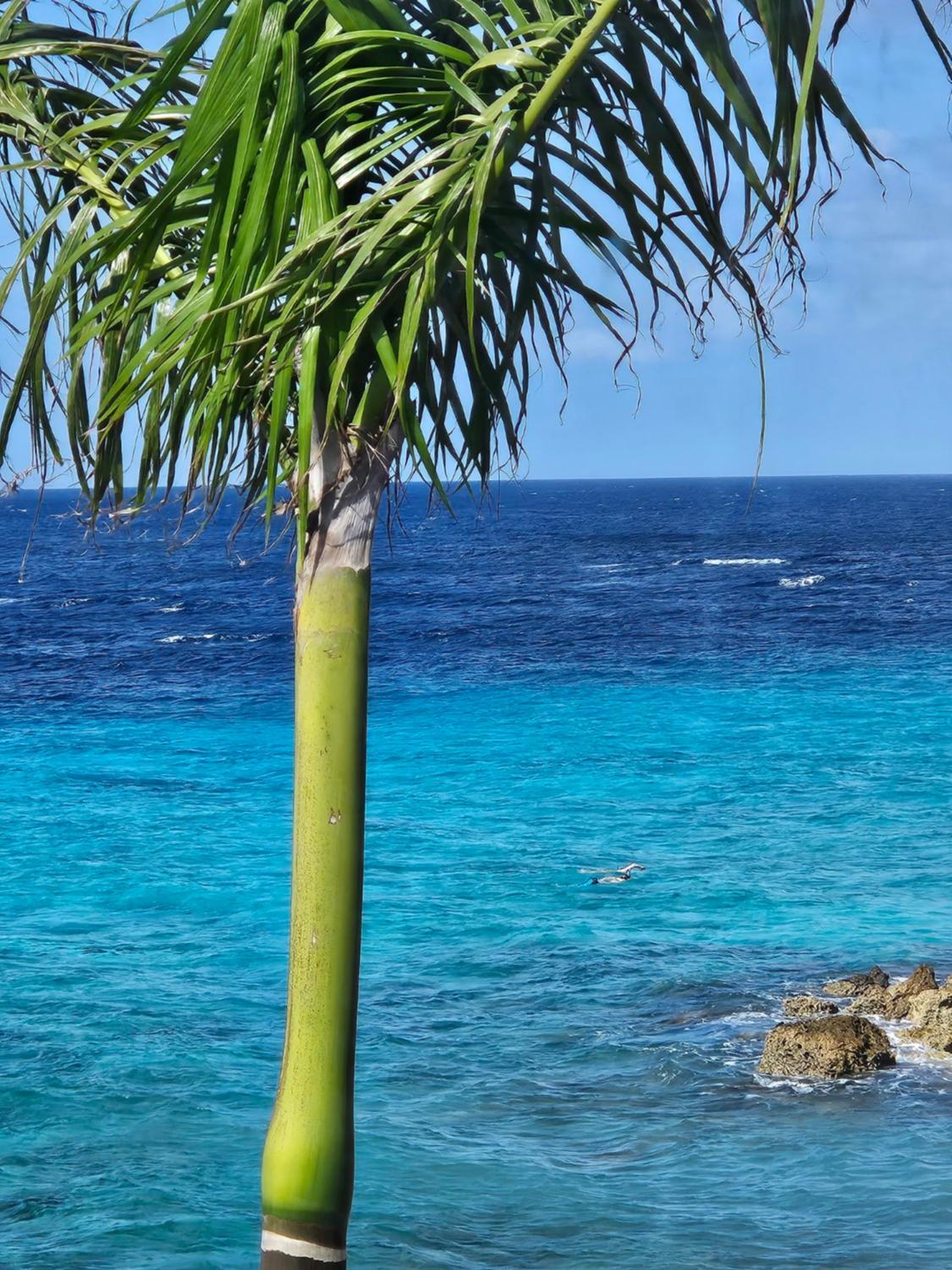 Seaview Resort Boca Sami