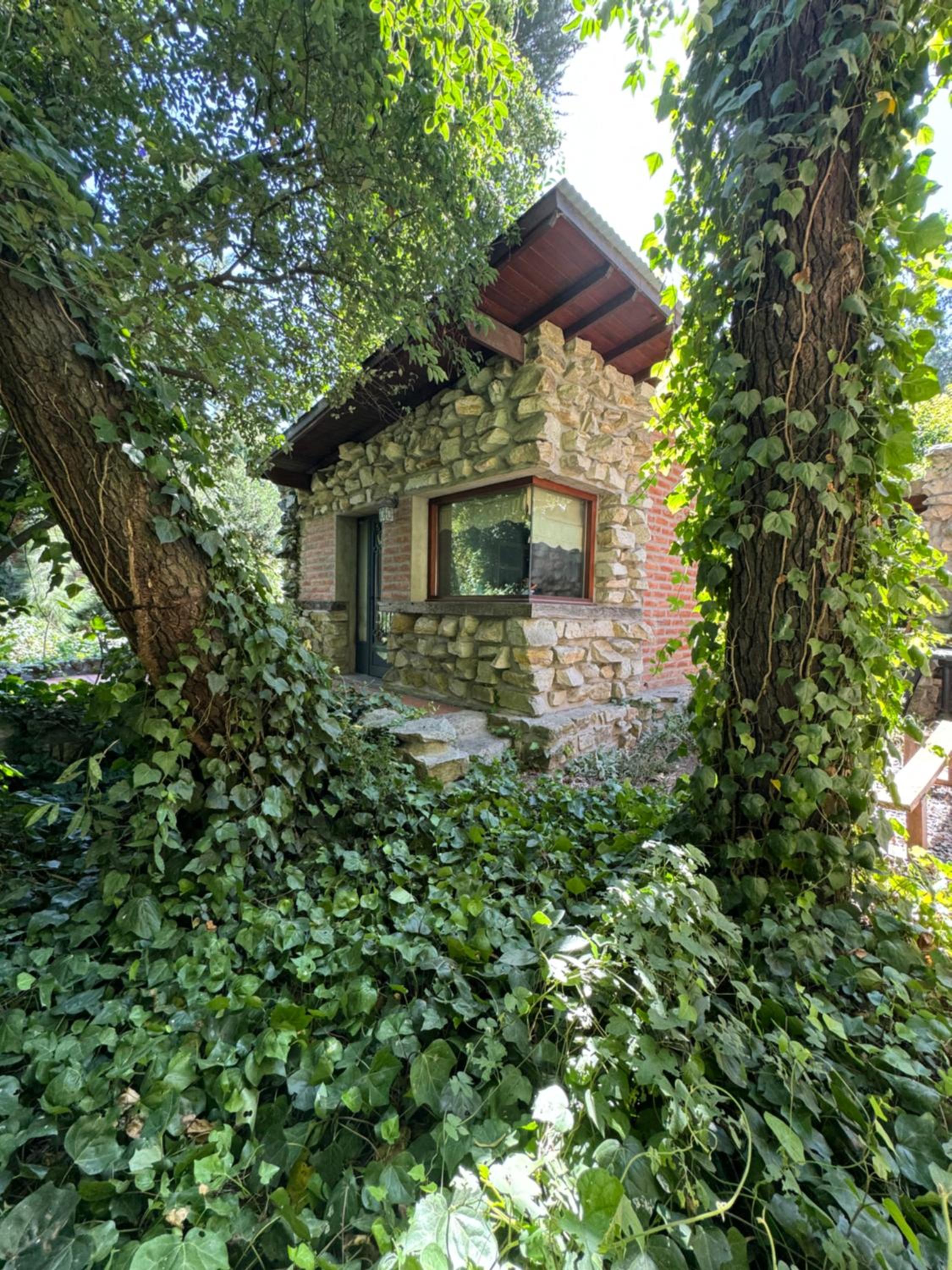 Cabañas Arehue