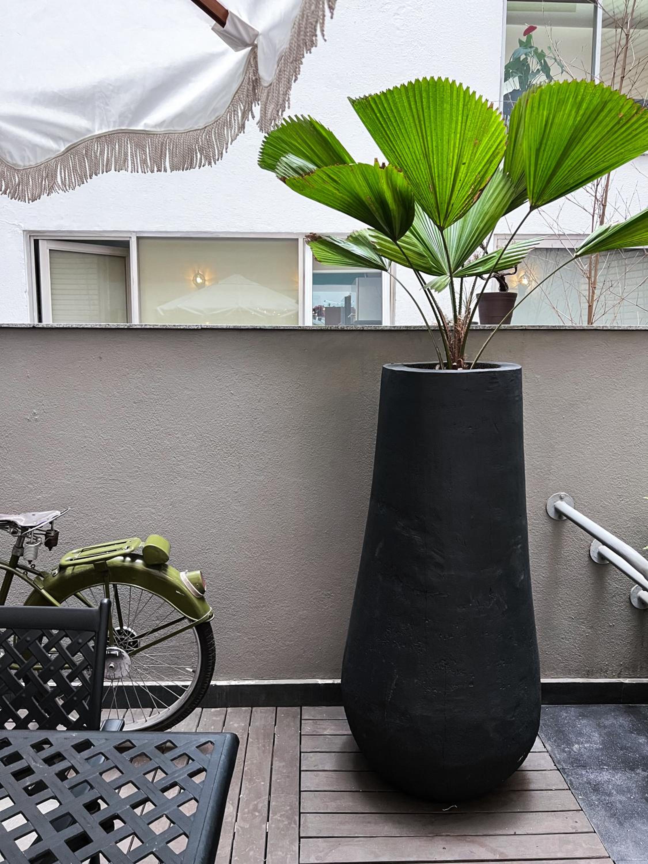 Central Park Condesa