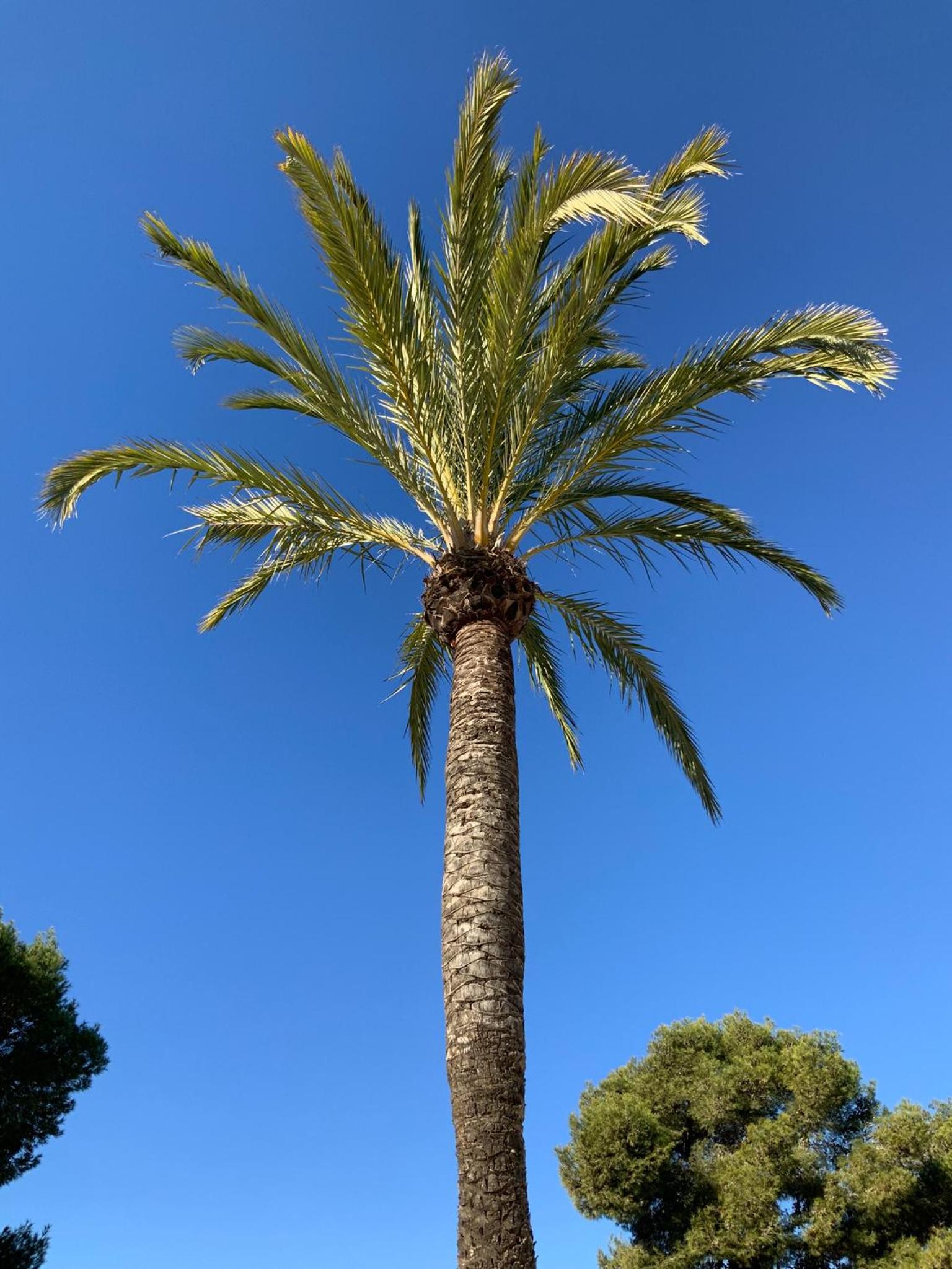Casa Lila Javea