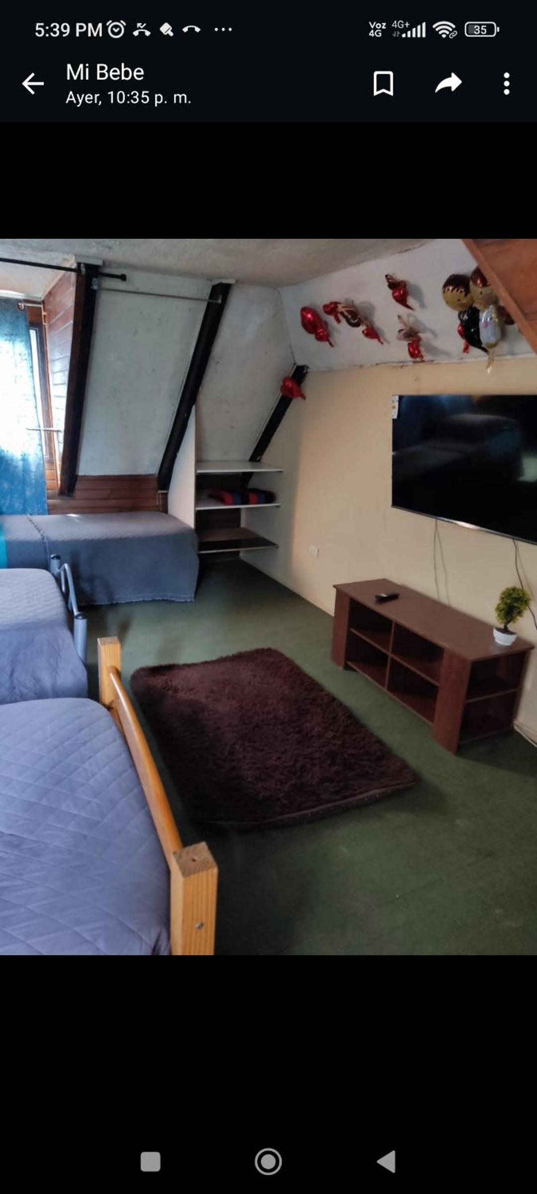 Hostal NF rocket