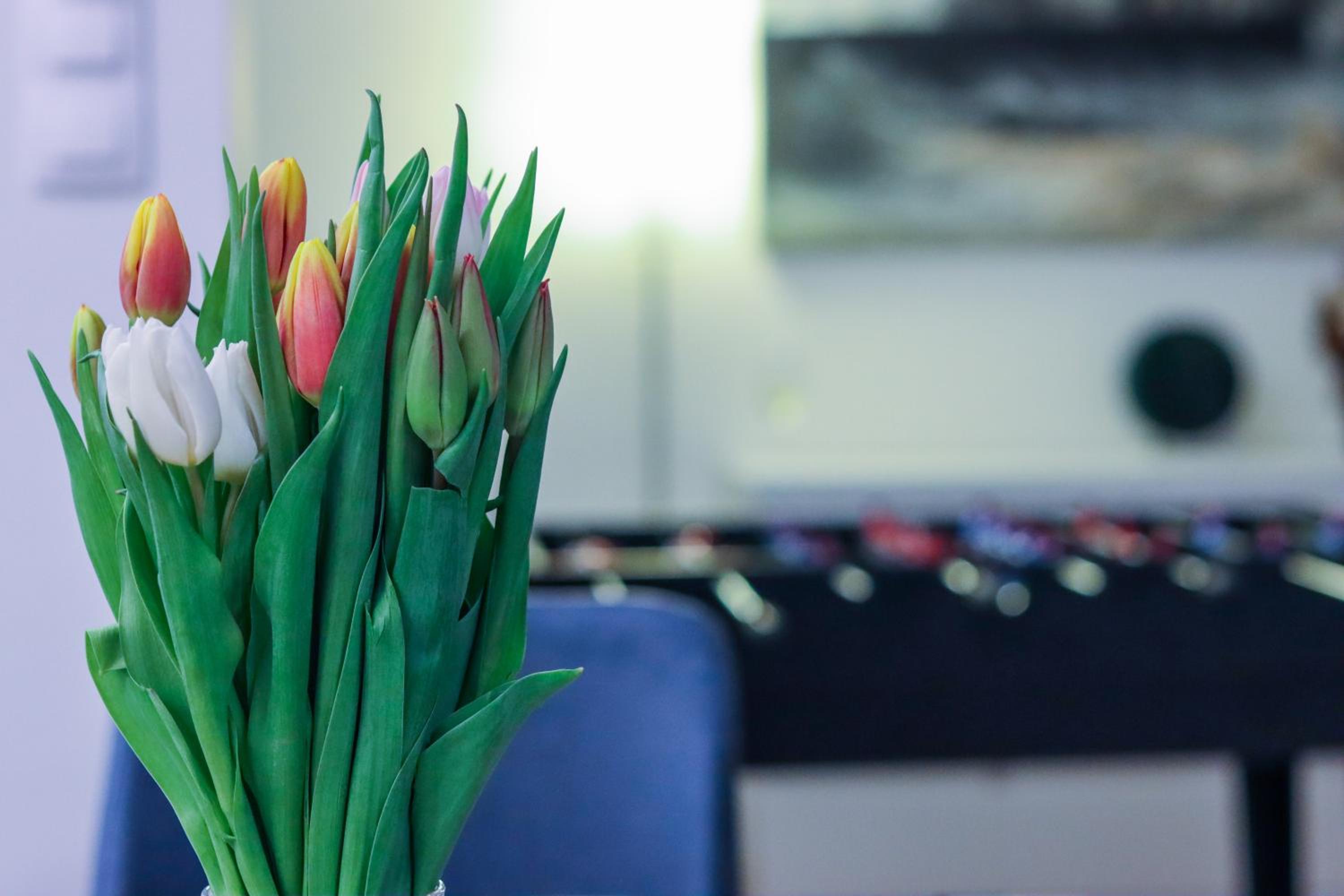 Apartmány Mikulovské zahrady