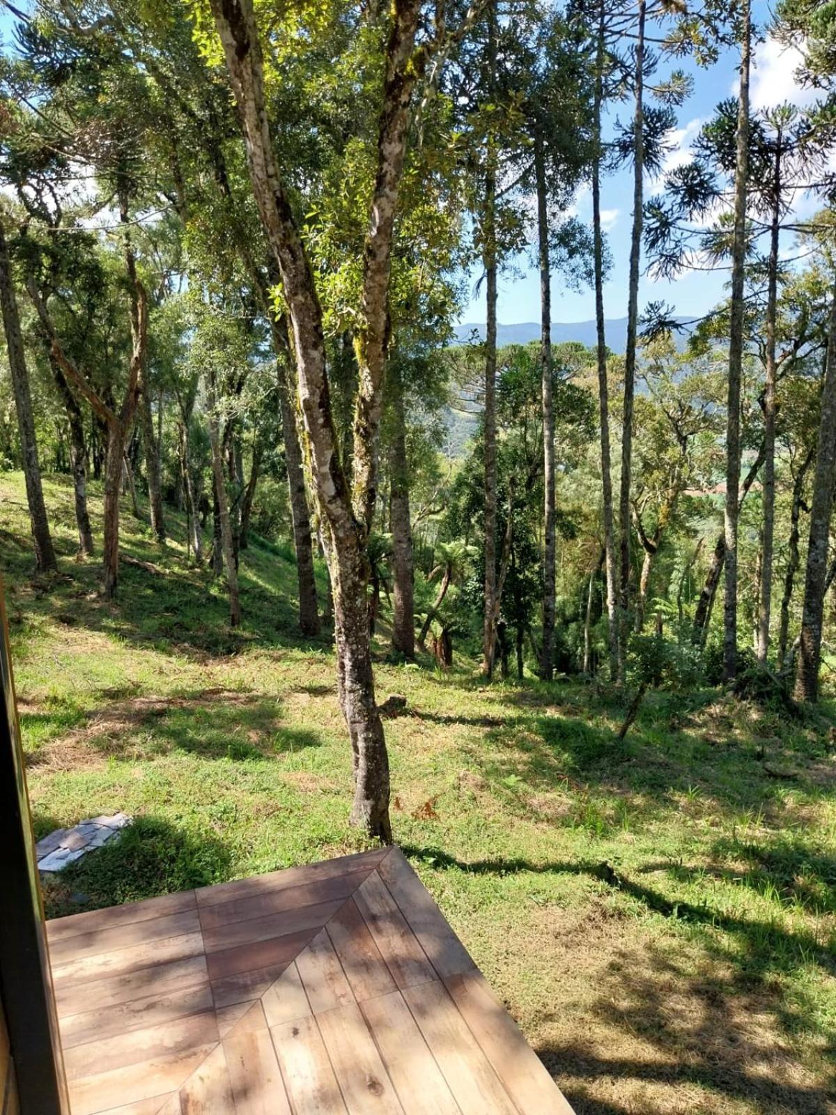 Super Cabana Paradiso I Conforto e Tranquilidade