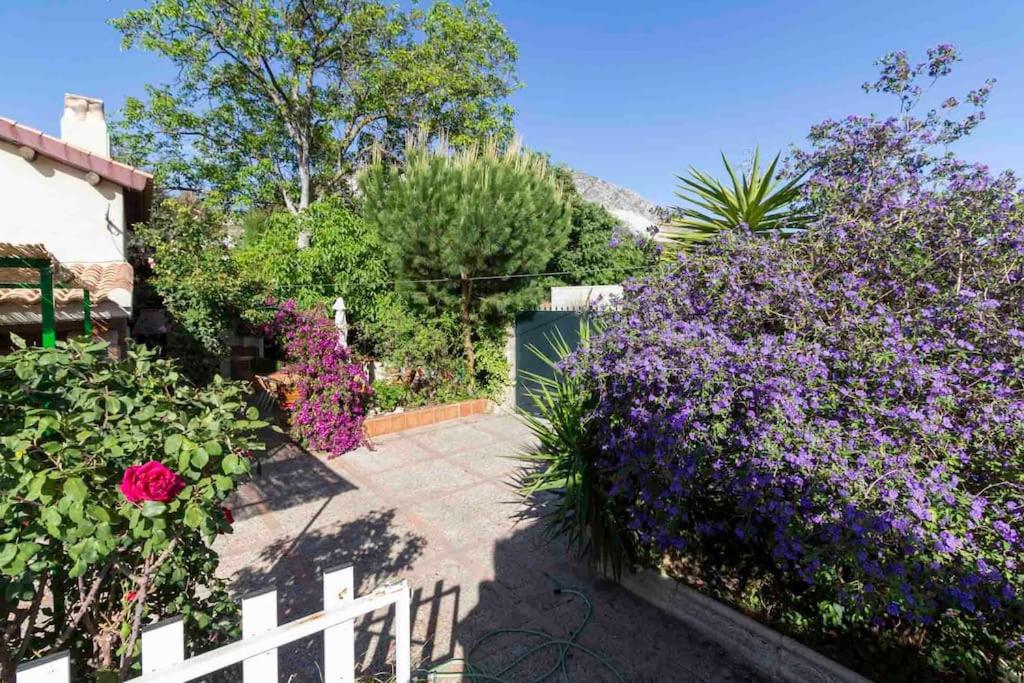 Casa Suryta einzigartiges Landhaus bei Granada
