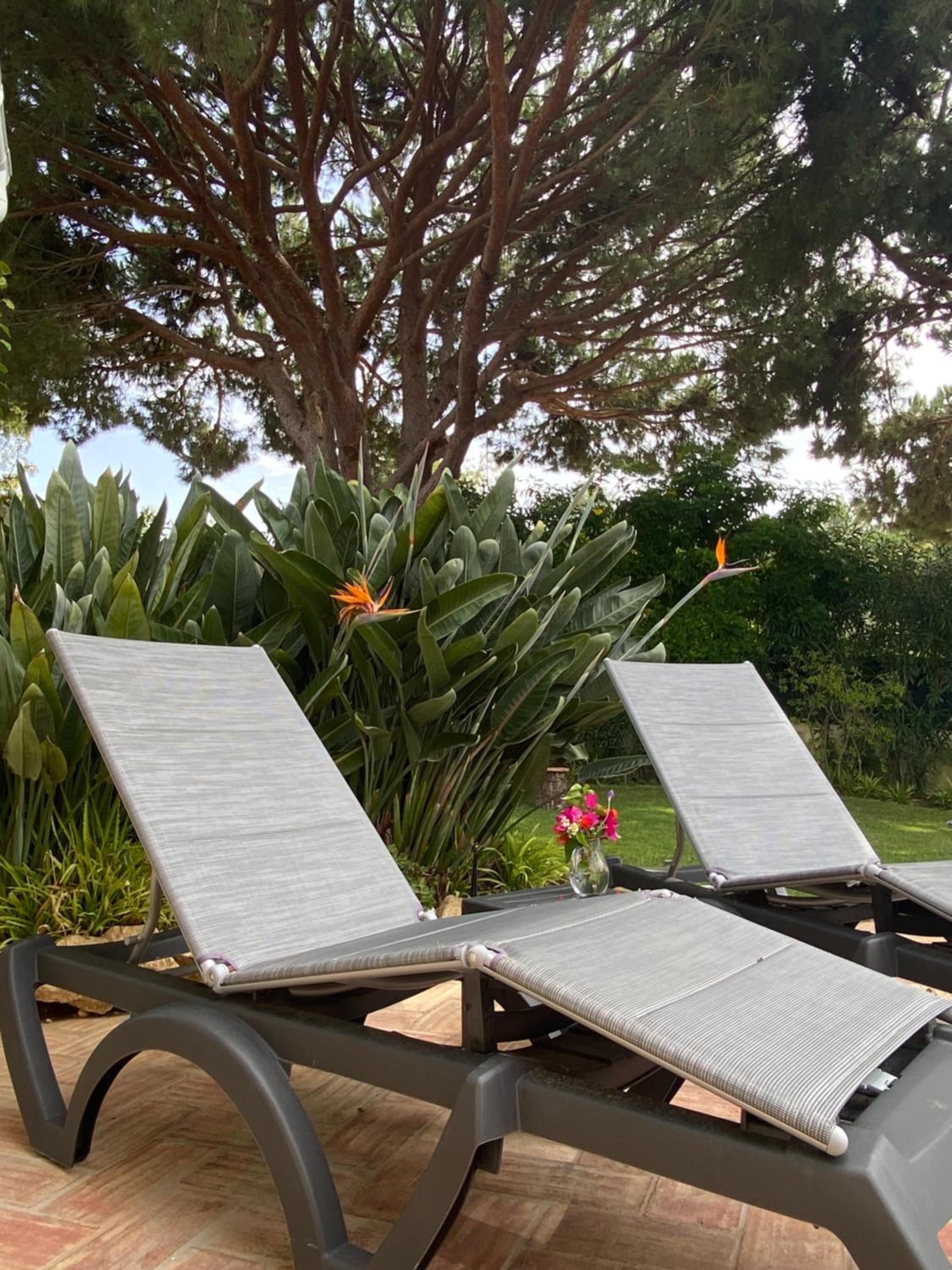 Beach villa Casa de Amanhã 450 mts to the beach with beautiful garden and heated saltwater pool photo 5