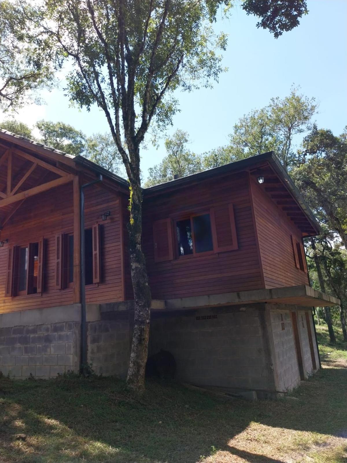Super Cabana Paradiso I Conforto e Tranquilidade
