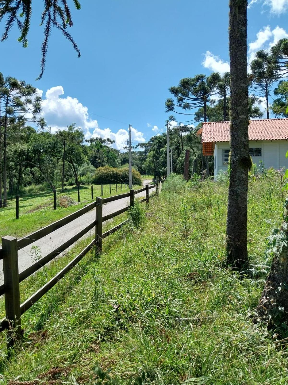 Super Cabana Paradiso I Conforto e Tranquilidade