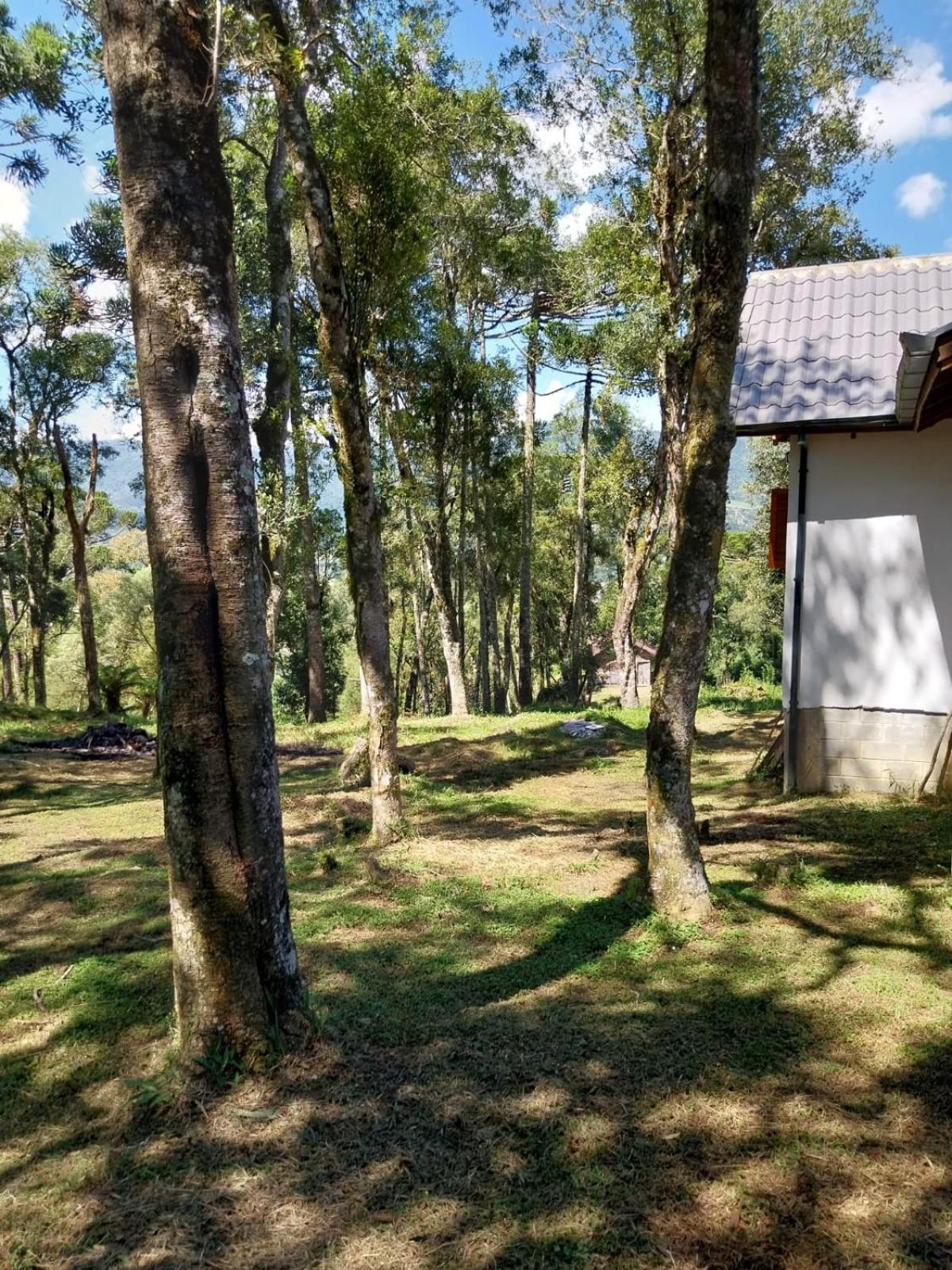 Super Cabana Paradiso I Conforto e Tranquilidade