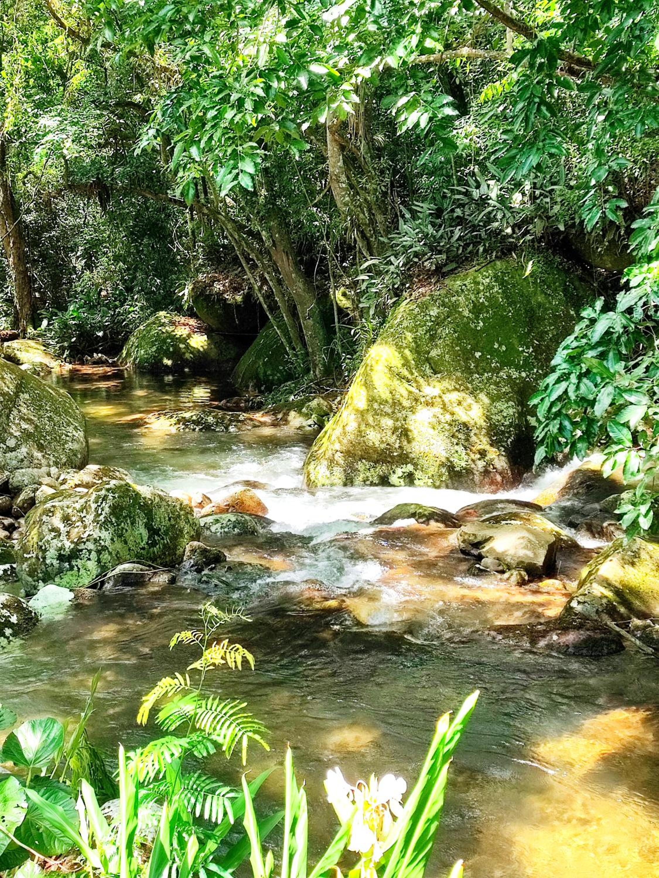Chalé da cachoeira - Ilhabela