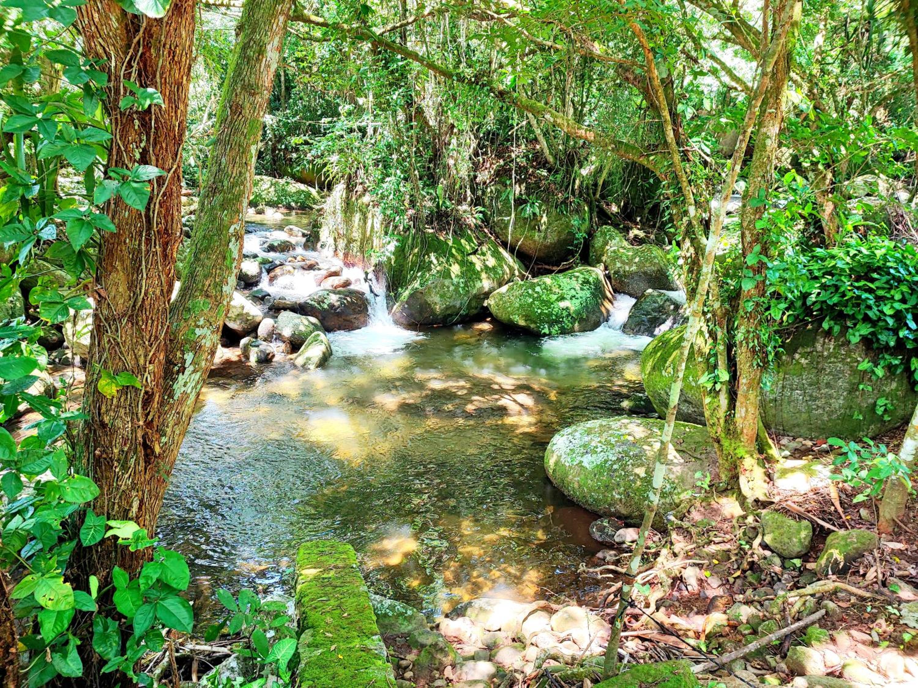 Chalé da cachoeira - Ilhabela
