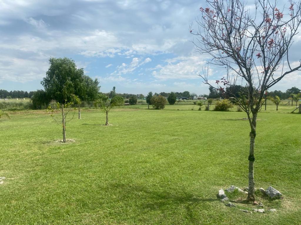 Relax de campo