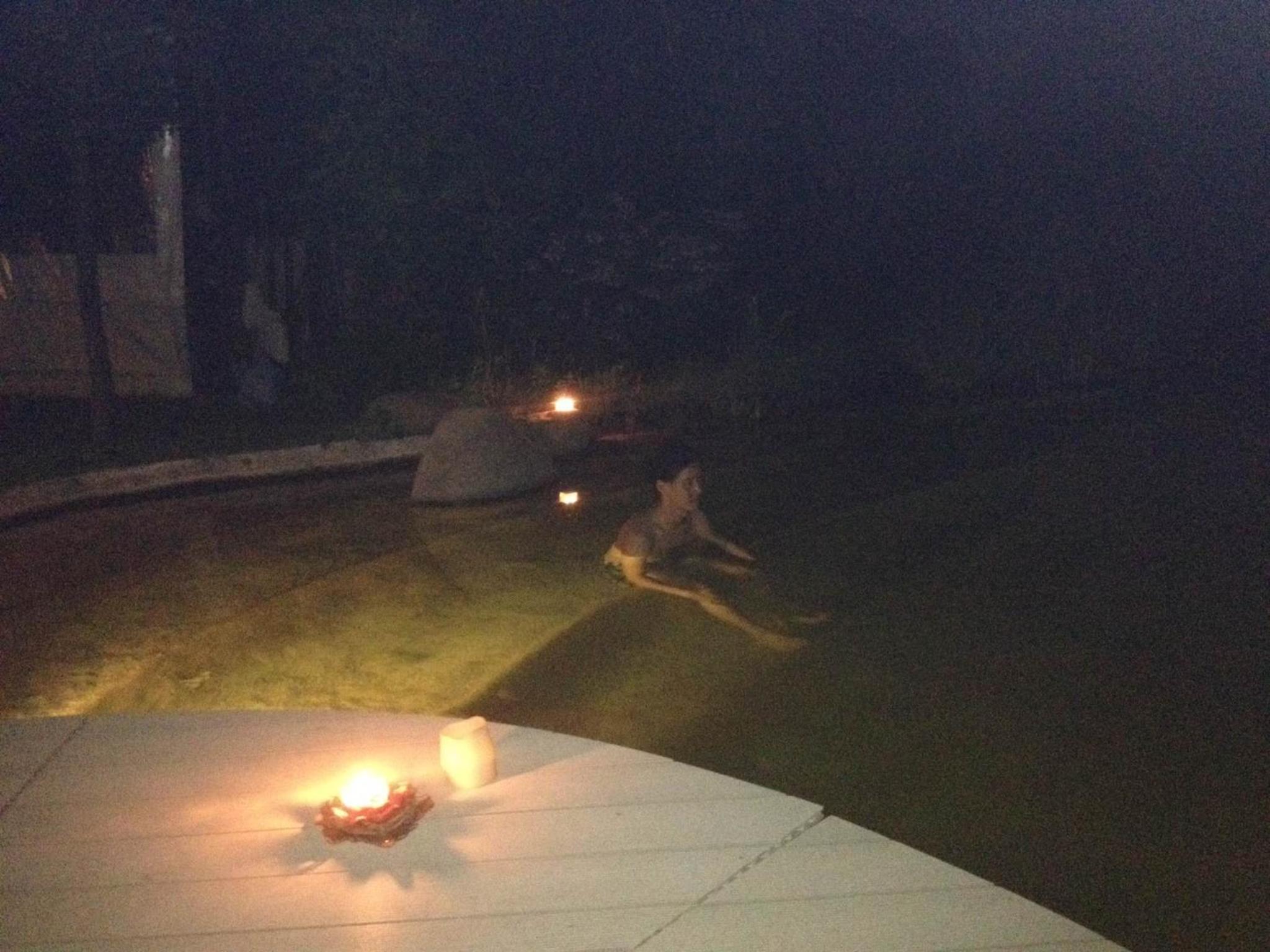 Photo 41