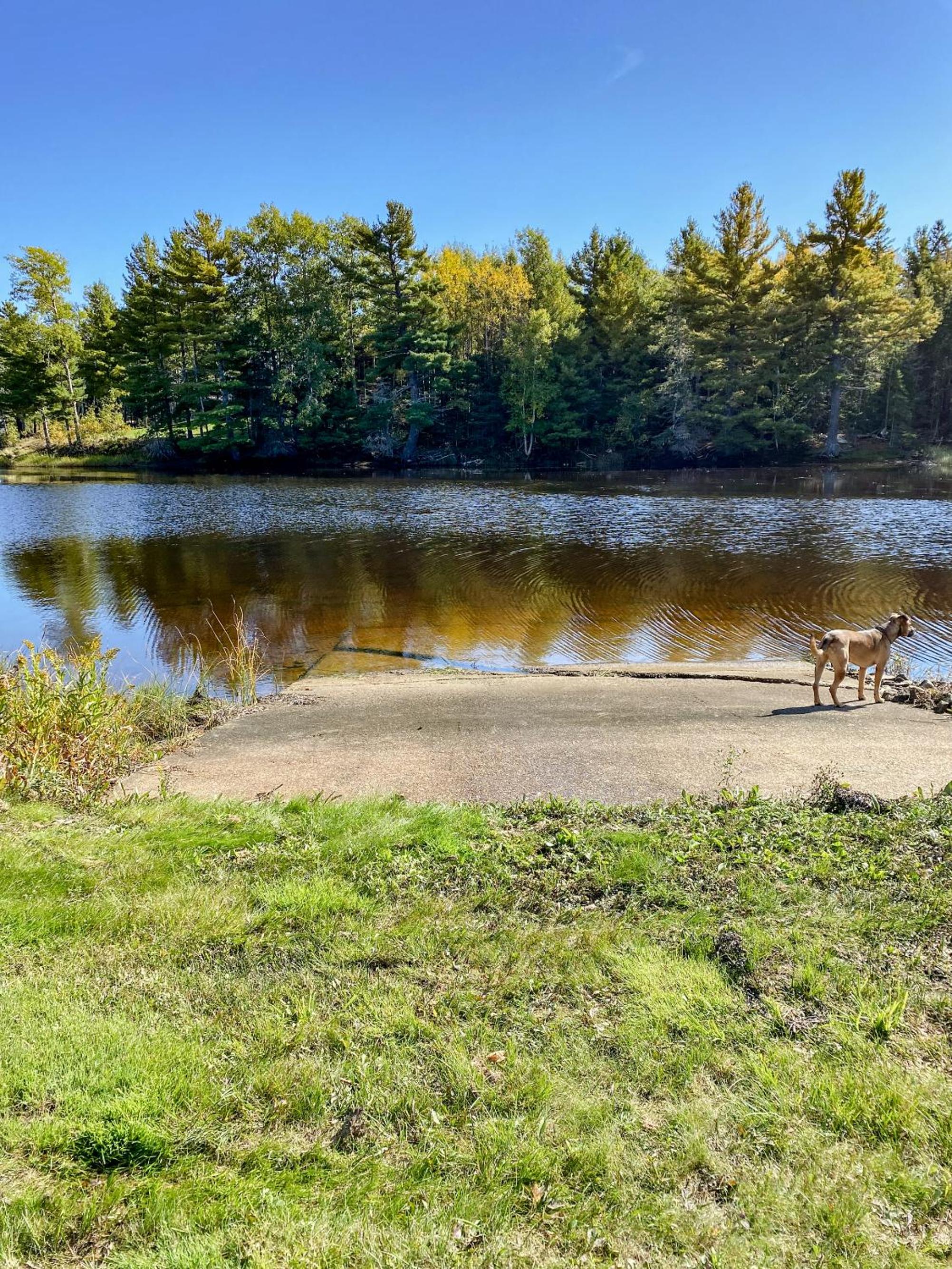 Stunning Secluded Richibucto River Waterfront Cottage with Unparallel Privacy