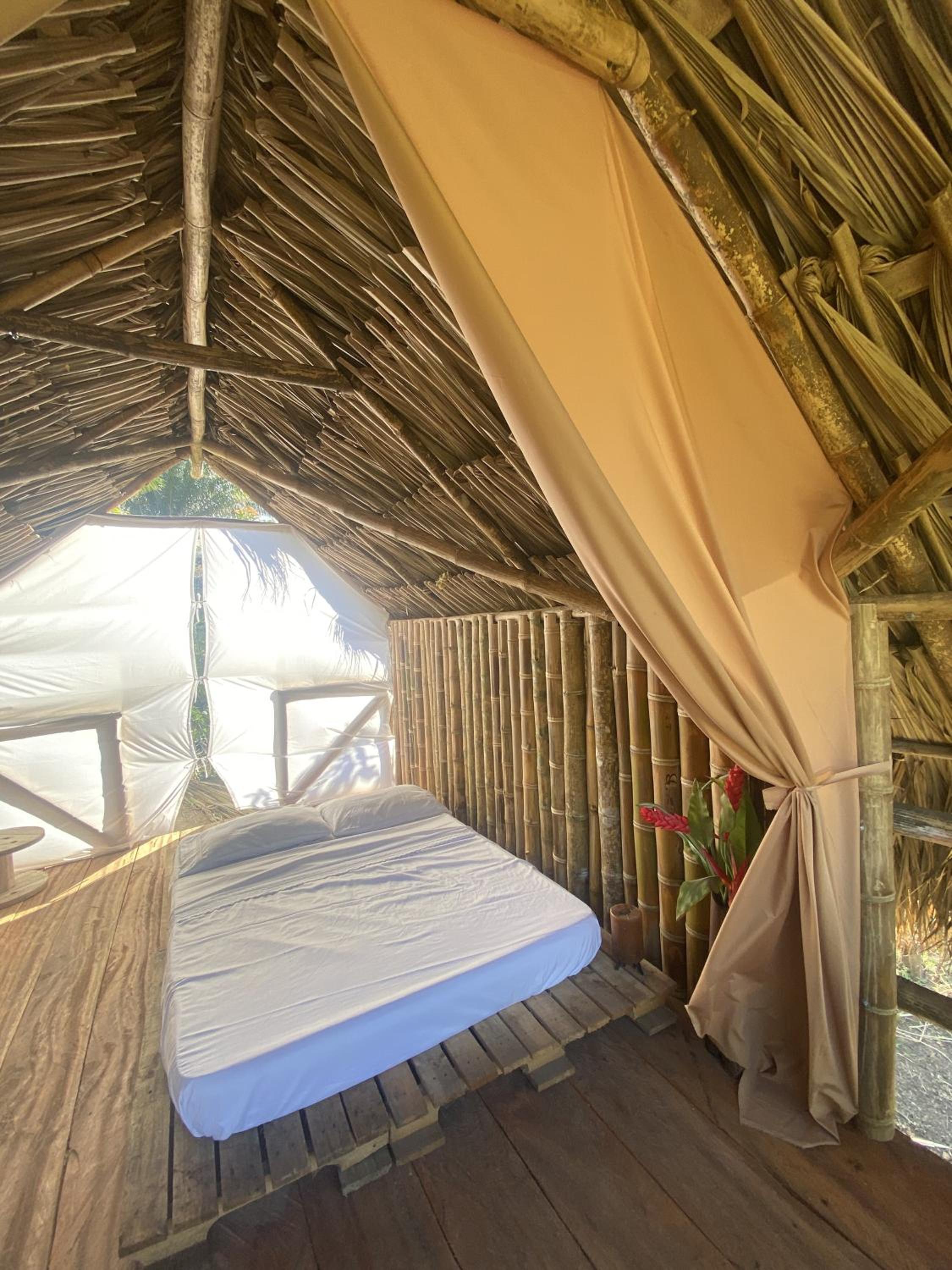 Freeland Eco Hostel