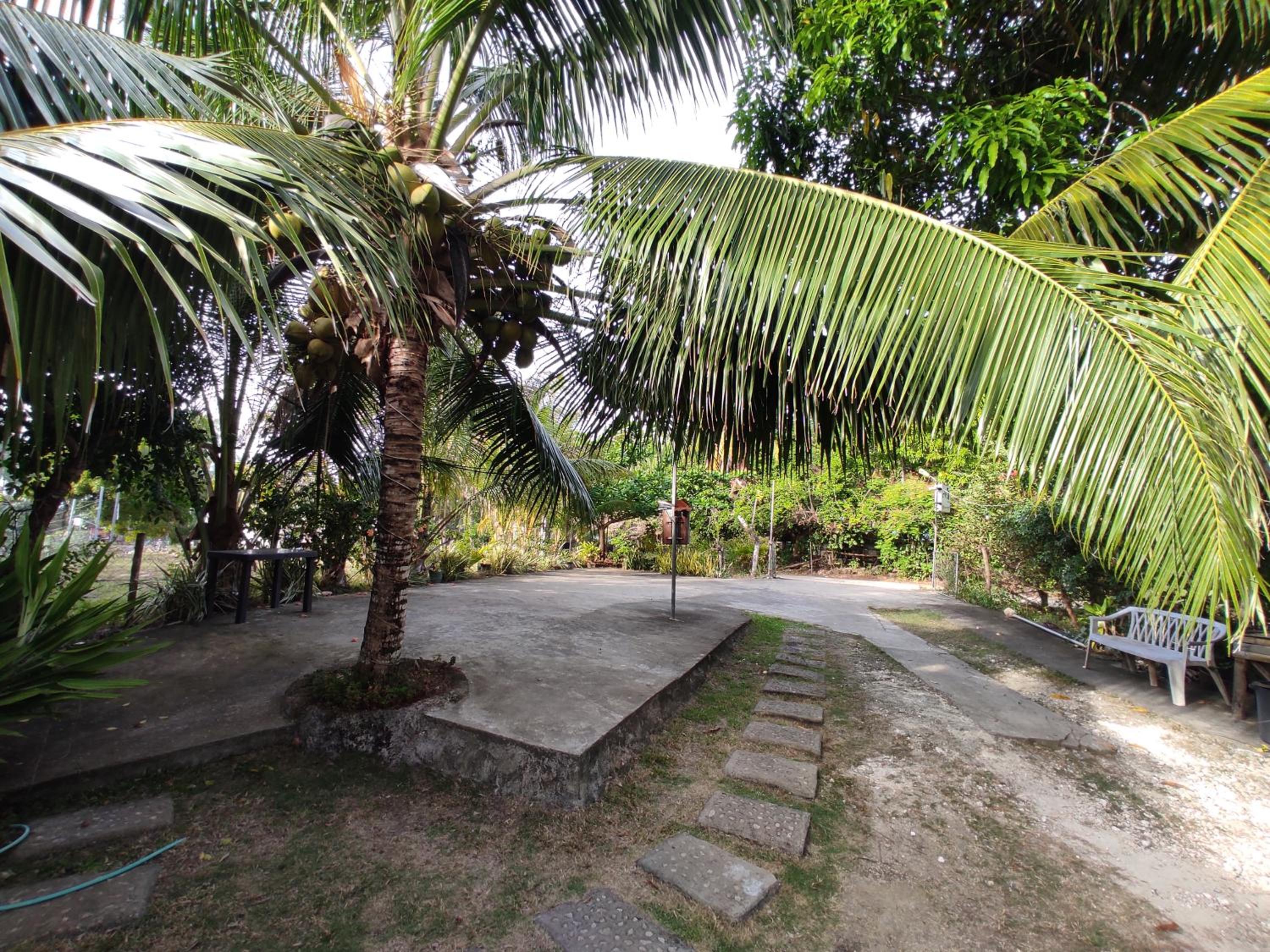 Apo Estin homestay