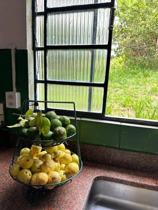 Casa das Vinhas