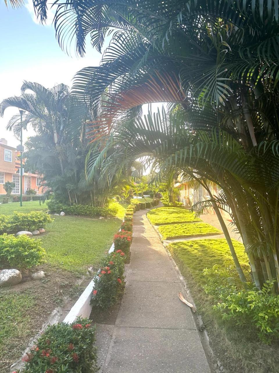 Casa Rita view 3