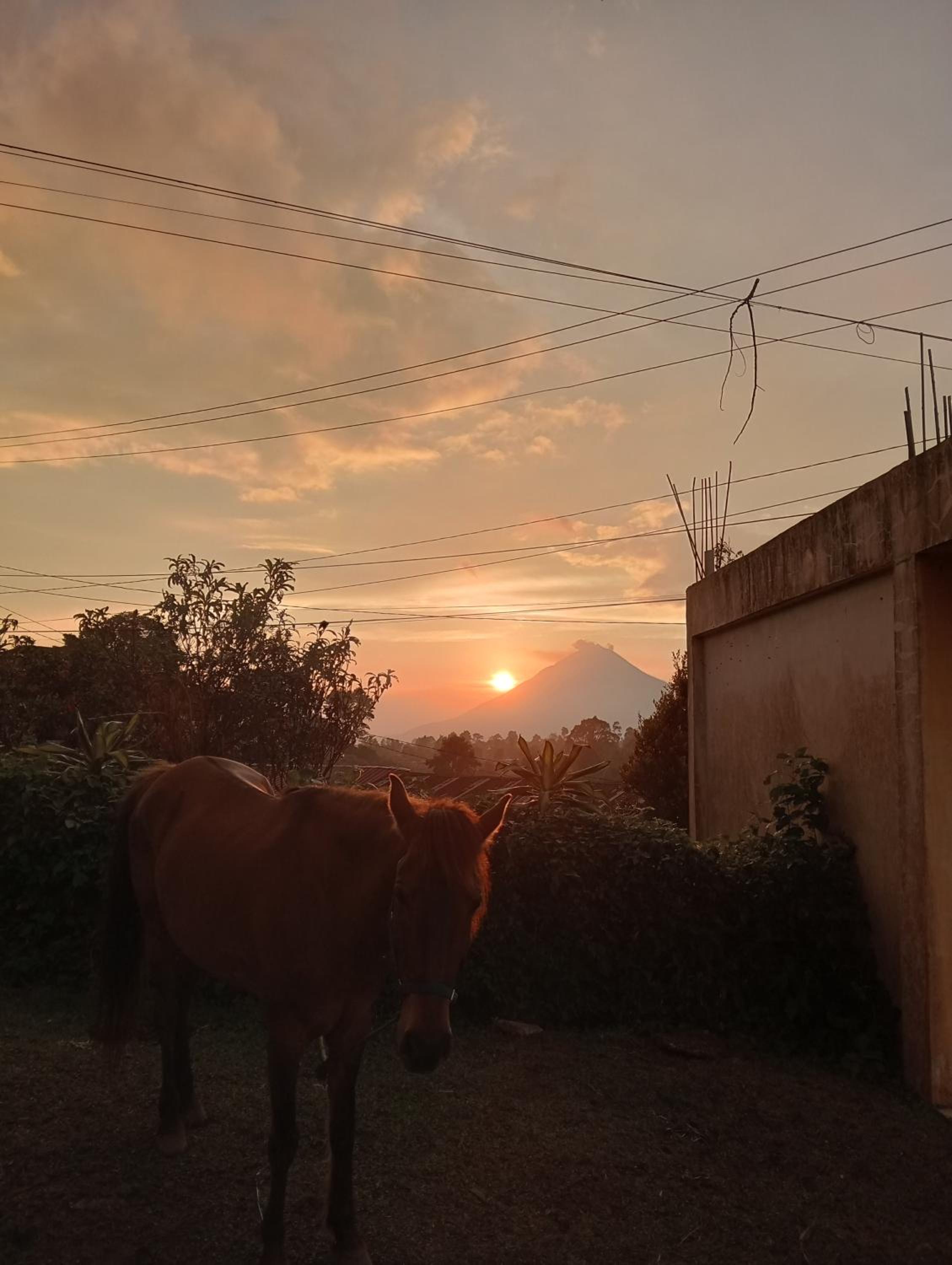 Vulkaan Homestay