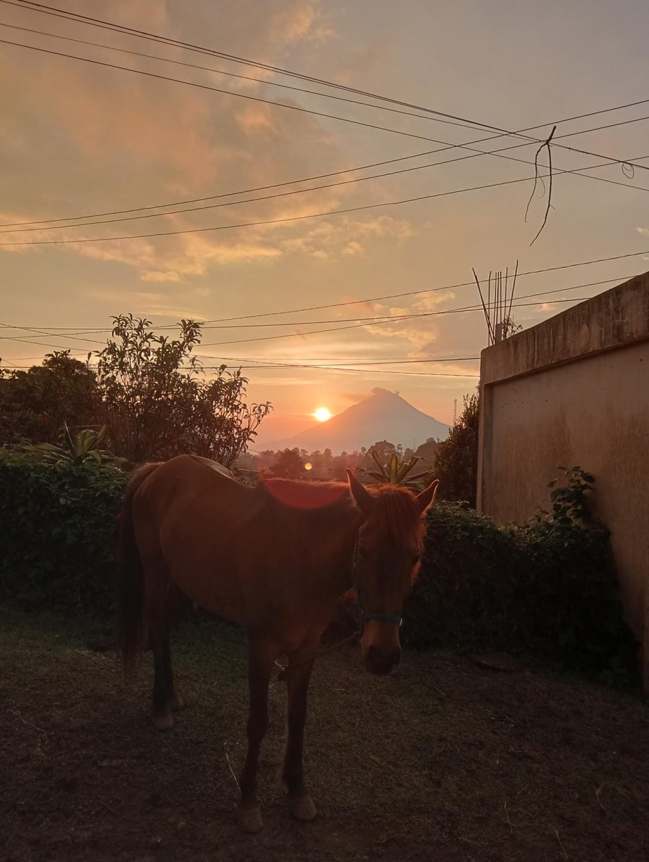 Vulkaan Homestay