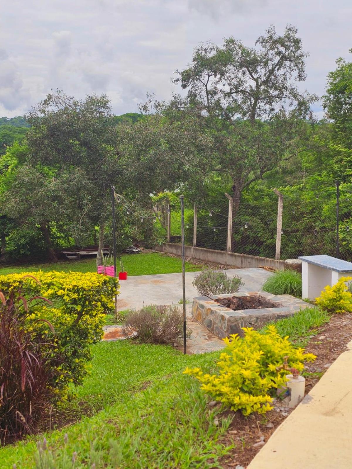 Pan Dulce - Casa de Campo
