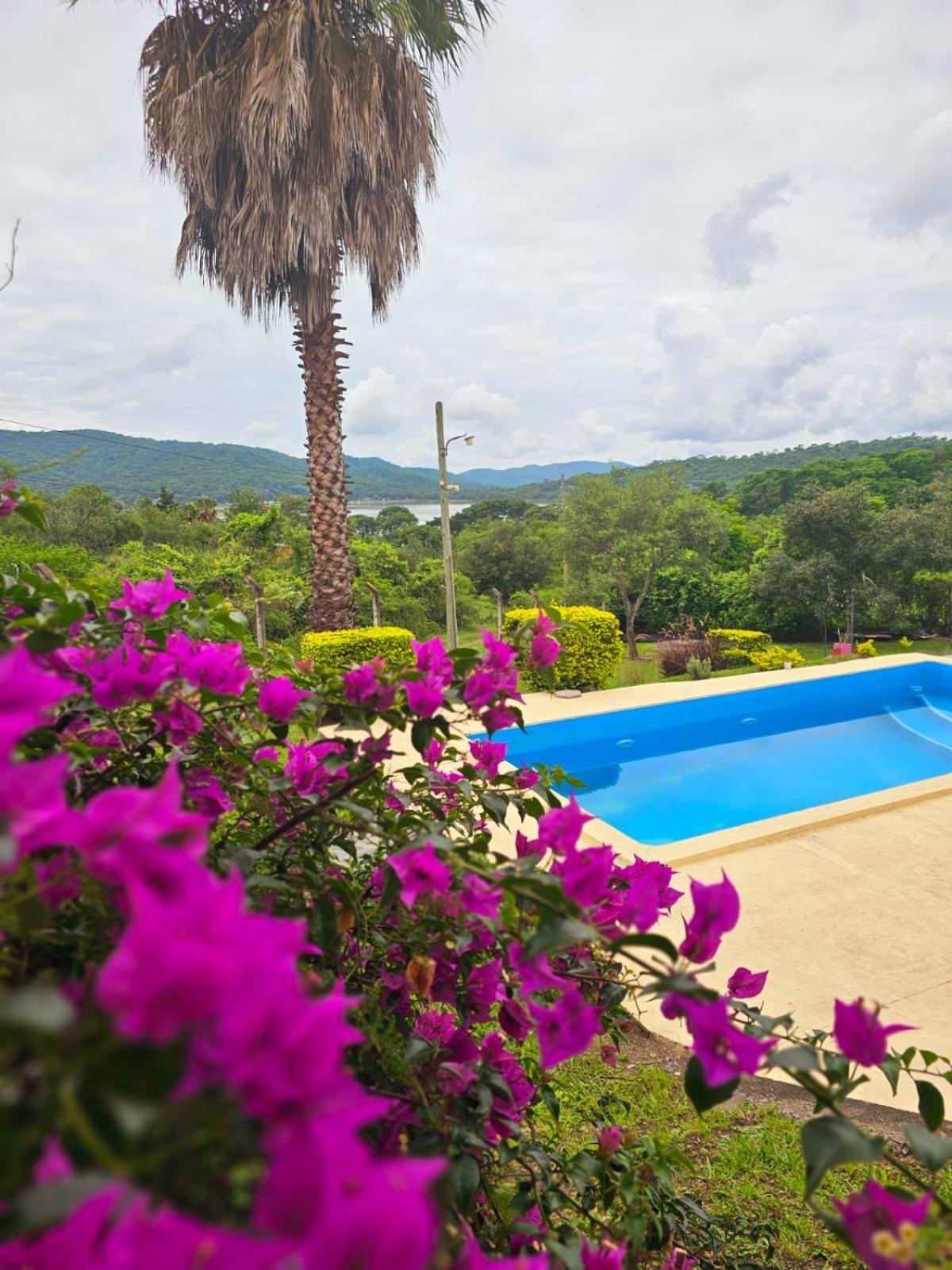 Pan Dulce - Casa de Campo
