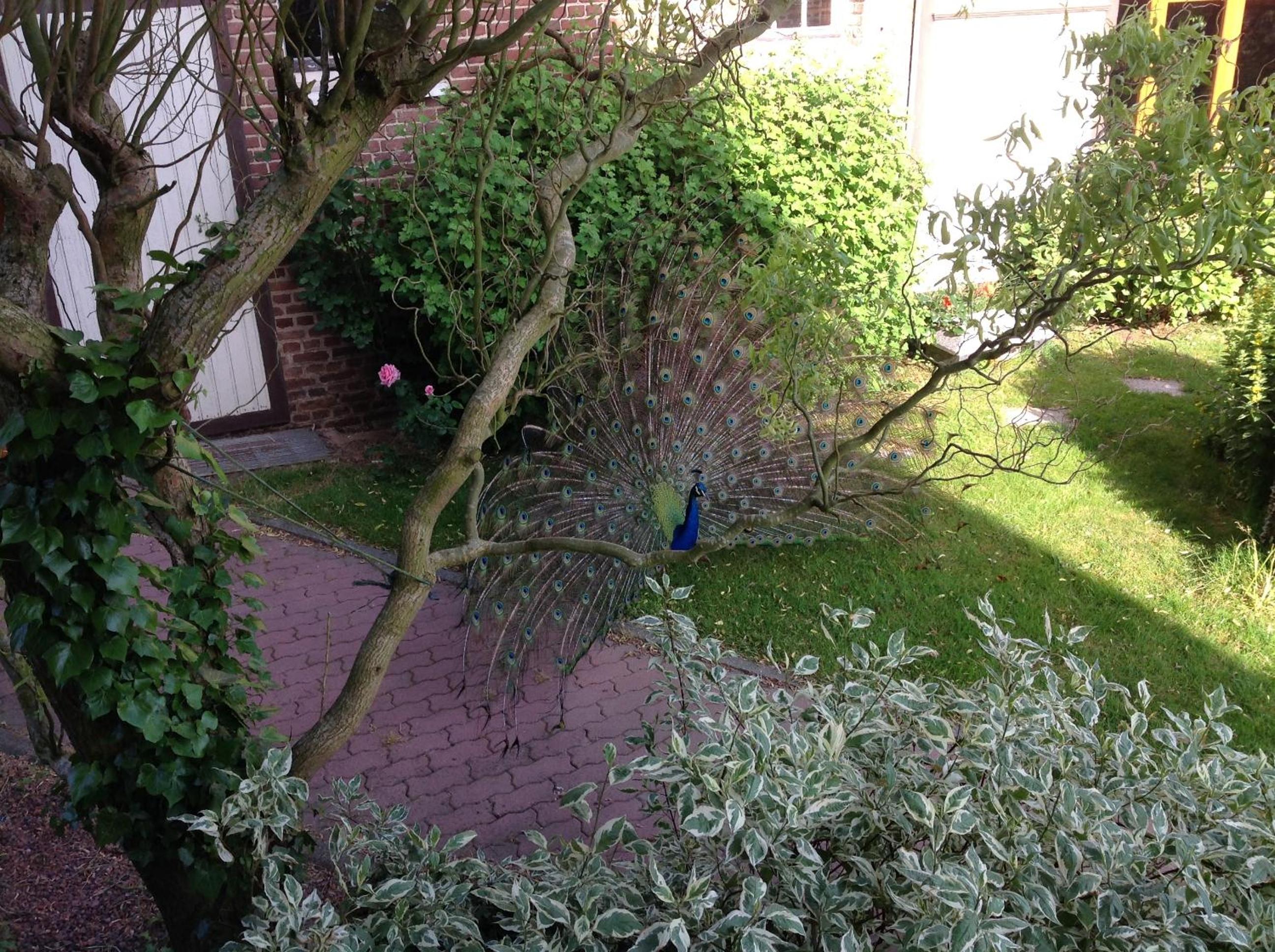 Photo 25