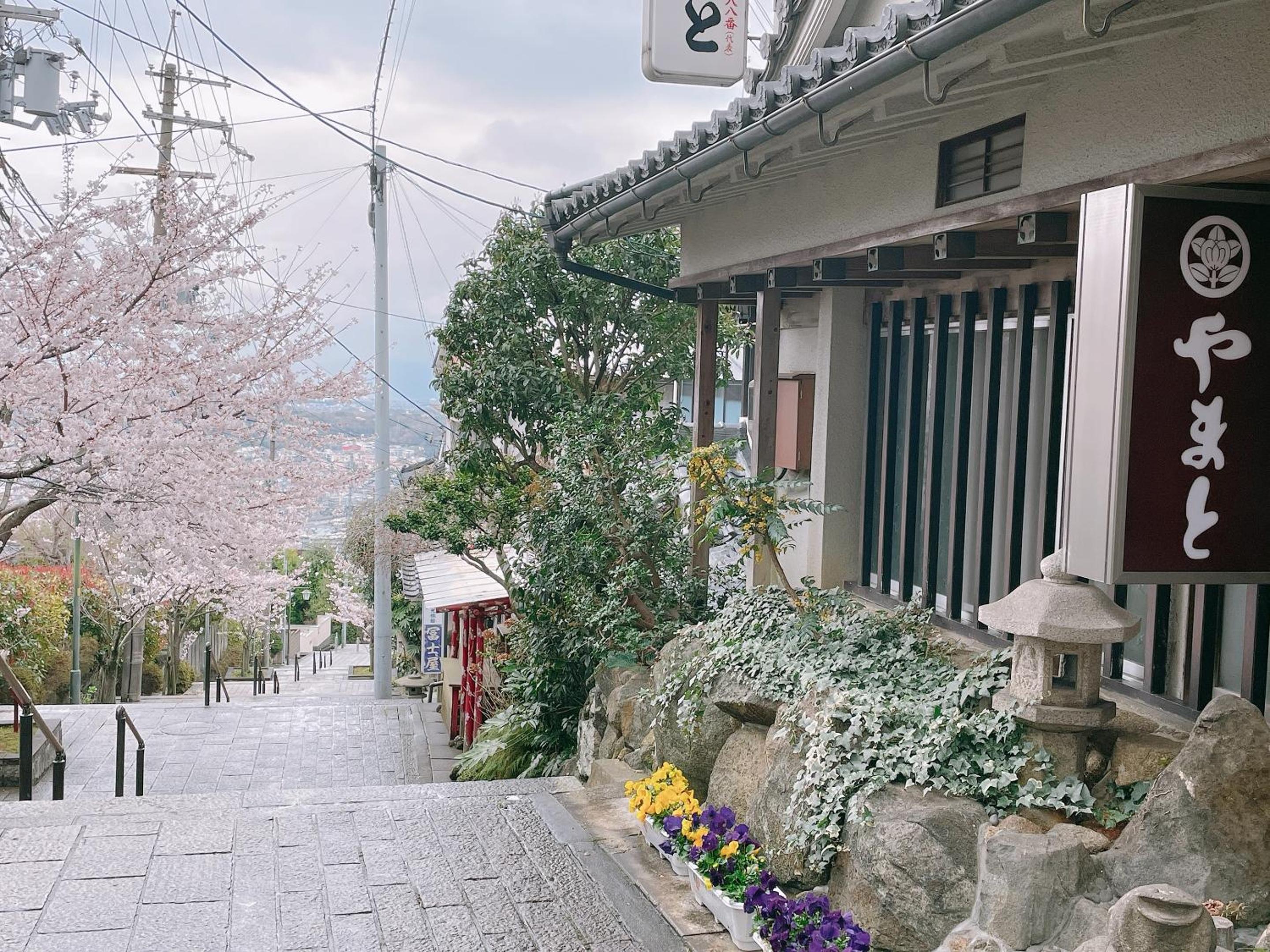 Kanko Ryokan Yamato view 3
